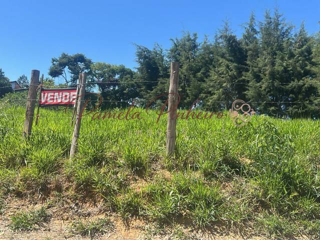 Venda em Pirucaia - Mairiporã