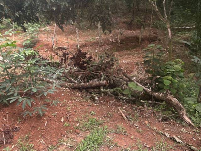 Área para Venda em Mairiporã - 4