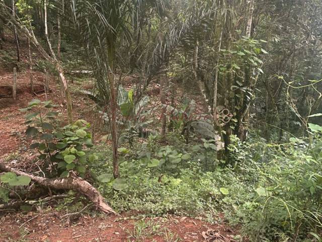 Área para Venda em Mairiporã - 5