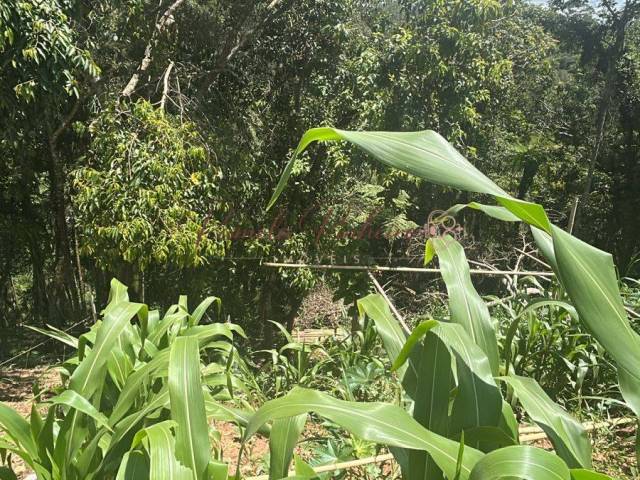 Área para Venda em Mairiporã - 2