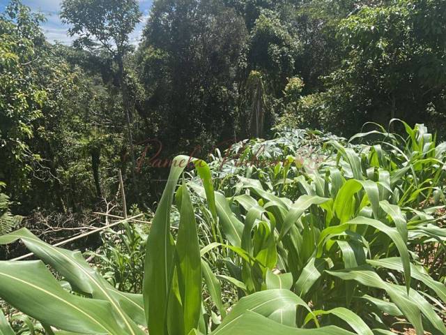 Área para Venda em Mairiporã - 3
