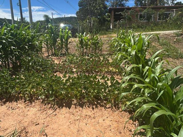 Área para Venda em Mairiporã - 4